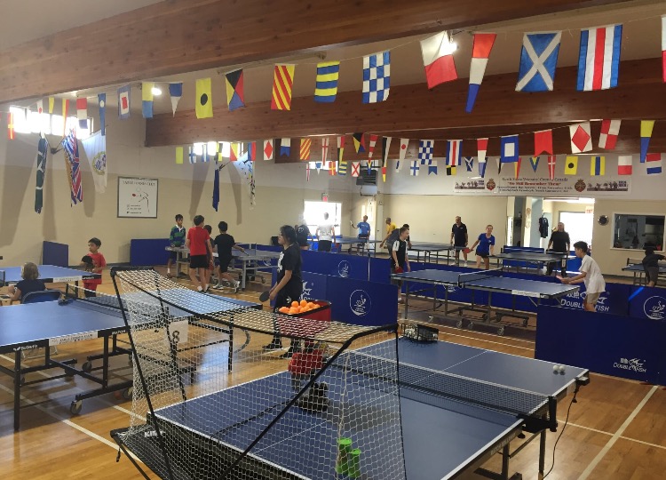 KIDS CLUB and YOUTH CLASSES – North Shore Table Tennis Club